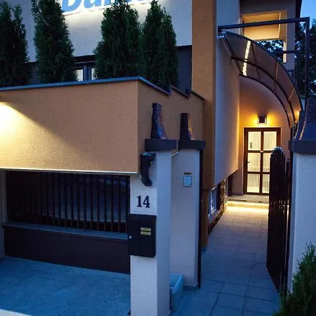 Dama * Novi Sad