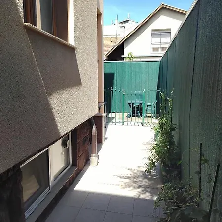 Dama * Novi Sad